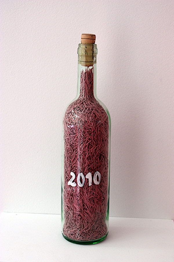 2010 DK rose CO21 bxl.jpg
