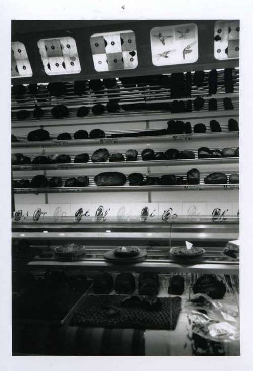 laboratoire patacycliste077.jpg